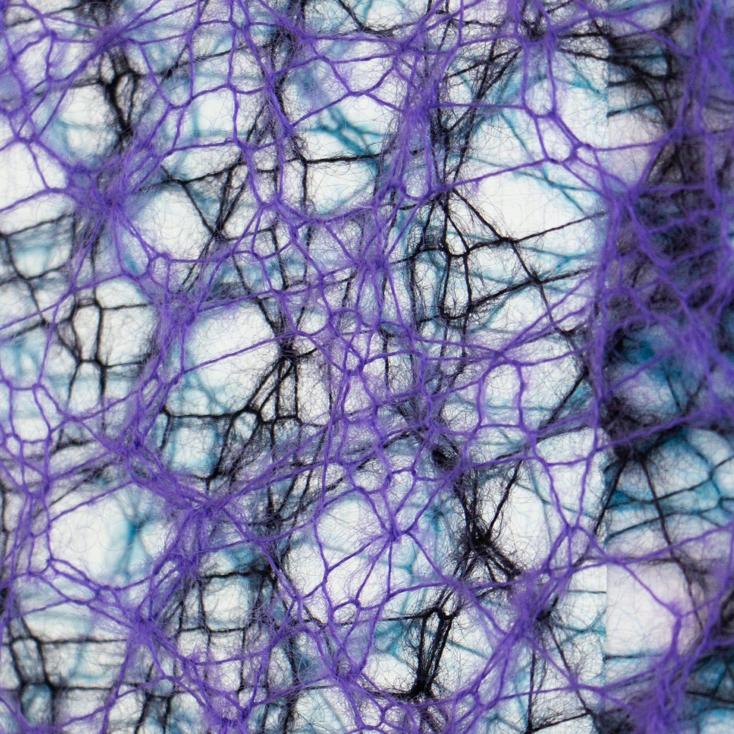 #color-purple/black/peacock